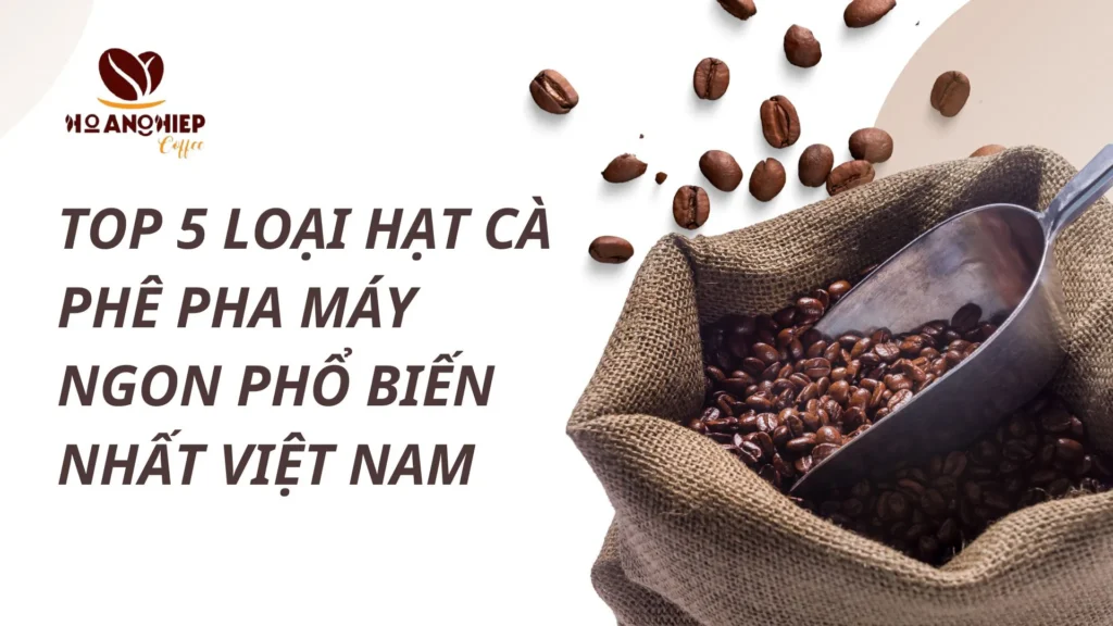 các loại hạt dùng cho cafe máy