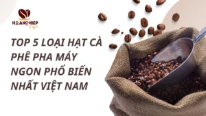 các loại hạt dùng cho cafe máy